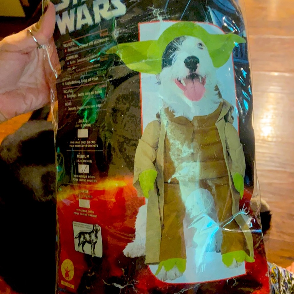 Star Wars dog Yoda Halloween costume